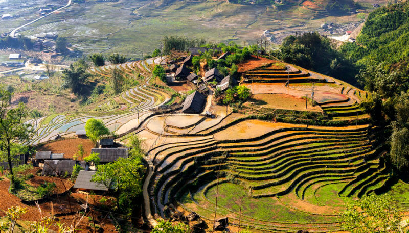 Mu Cang Chai rice terraces